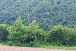 Land For Sale, Satsiskvilo