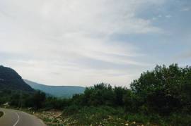 Land For Sale, Satsiskvilo