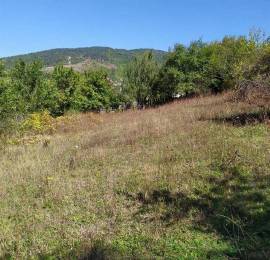 Land For Sale, Kvibisi