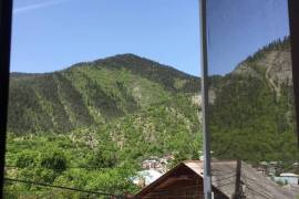 იყიდება ბინა, 3 ოთახიანი, ძველი აშენებული, ბორჯომი, ბორჯომი