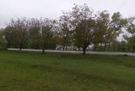 Land For Sale, Agricultural, Sartichala