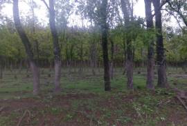 Land For Sale, Agricultural, Sartichala
