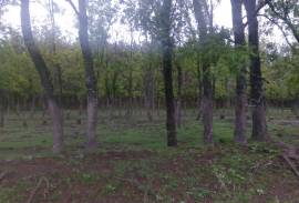 Land For Sale, Sartichala