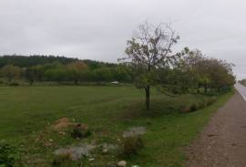 Land For Sale, Sartichala