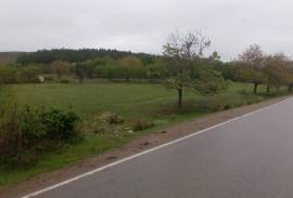 Land For Sale, Agricultural, Sartichala