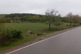 Land For Sale, Sartichala