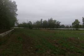 Land For Sale, Sartichala