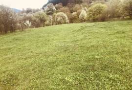 Land For Sale, Mzetamze