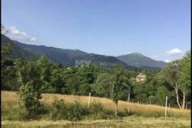 Land For Sale, Agricultural, Mzetamze