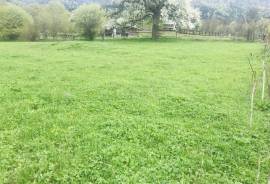 Land For Sale, Mzetamze