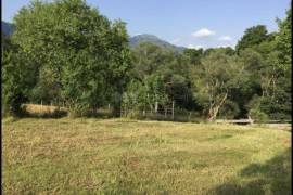 Land For Sale, Mzetamze