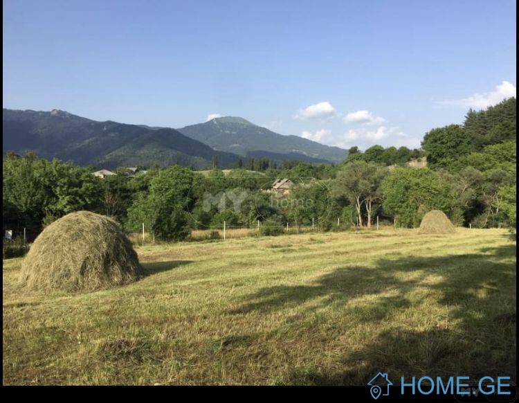 Land For Sale, Agricultural, Mzetamze