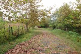 Land For Sale, Ganarjiis Mukhuri