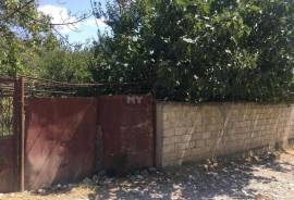 Продается Земля, Сельскохозяйственные, Глдани