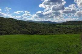 Land For Sale, Agricultural