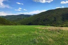 Land For Sale, Agricultural