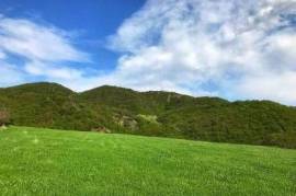 Land For Sale, Agricultural