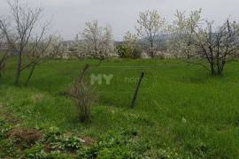იყიდება მიწის ნაკვეთი, სასოფლო - სამეურნეო