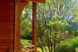 Daily Rent, 5 Room, Borjomi , Bakuriani