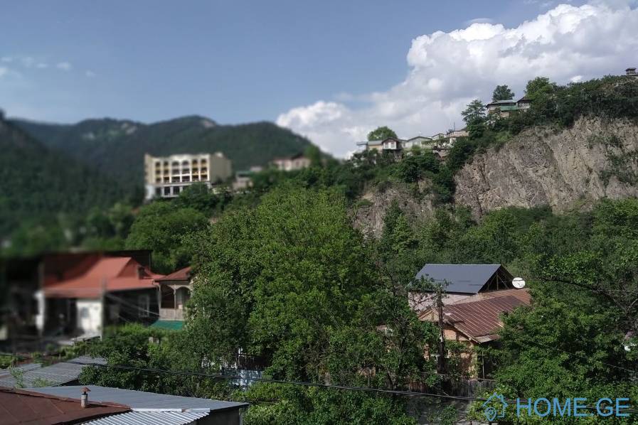 Daily Apartment Rent, 4 Room, Old building, Borjomi , Borjomi