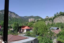 Daily Apartment Rent, 4 Room, Old building, Borjomi , Borjomi