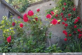 Daily Apartment Rent, 4 Room, Old building, Borjomi , Borjomi