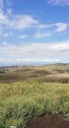 Land For Sale, Agricultural