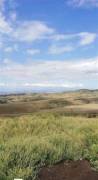 Land For Sale, Agricultural