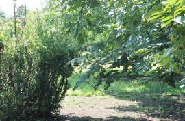 Land For Sale, Non Agricultural, Grigoleti