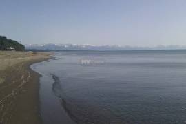 Land For Sale, Non Agricultural, Grigoleti
