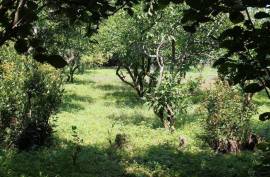 Land For Sale, Non Agricultural, Grigoleti