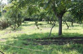 Land For Sale, Non Agricultural, Grigoleti
