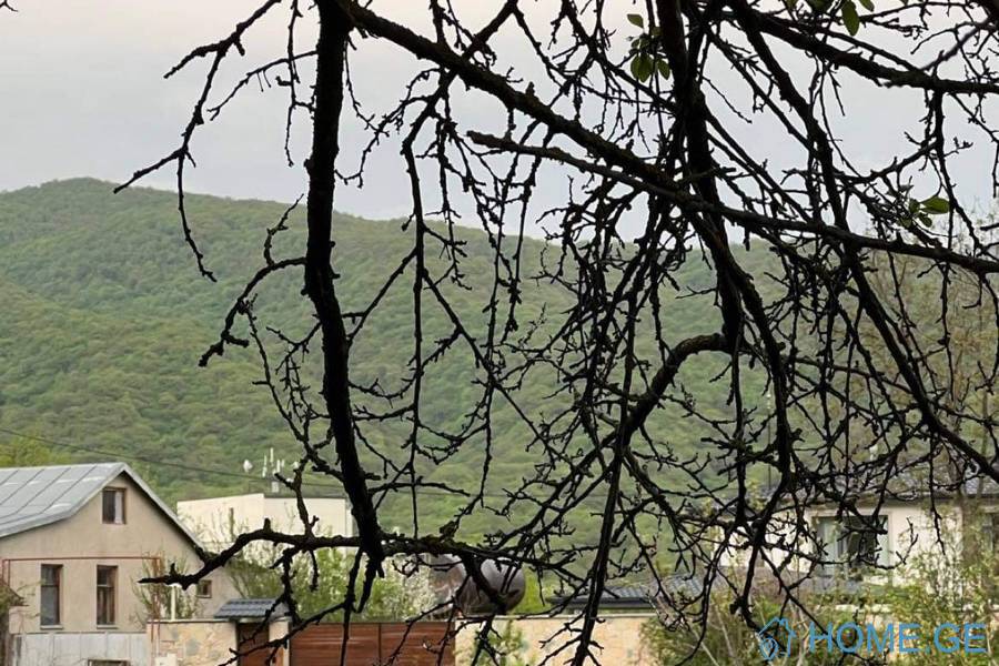 იყიდება მიწის ნაკვეთი, სასოფლო - სამეურნეო, არაგვისპირი