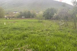 Land For Sale, Aragvispiri