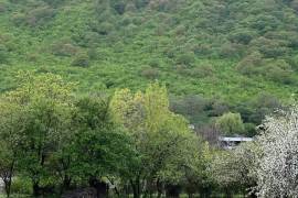 Land For Sale, Aragvispiri