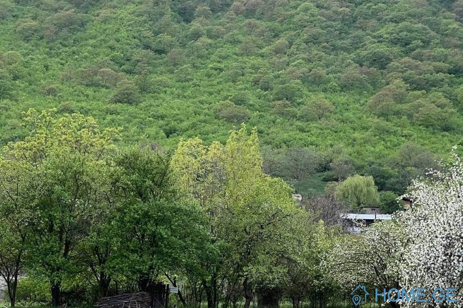 იყიდება მიწის ნაკვეთი, სასოფლო - სამეურნეო, არაგვისპირი