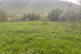იყიდება მიწის ნაკვეთი, სასოფლო - სამეურნეო, არაგვისპირი