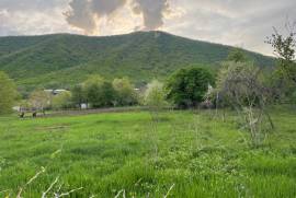 Land For Sale, Aragvispiri