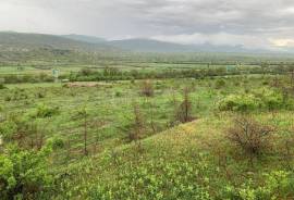 Land For Sale, Okami 