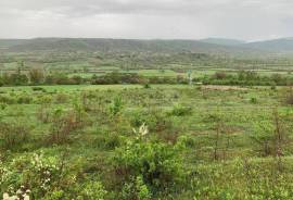 Land For Sale, Okami 