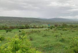 იყიდება მიწის ნაკვეთი, ოკამი