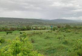 Land For Sale, Okami 