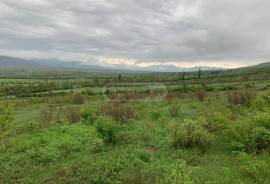 Land For Sale, Okami 