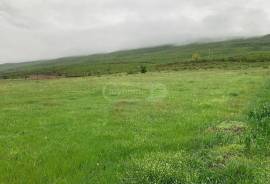 Land For Sale, Okami 