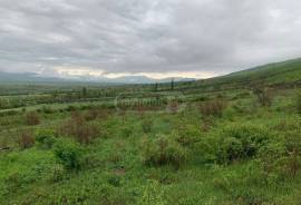 Land For Sale, Okami 