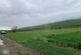 Land For Sale, Okami 