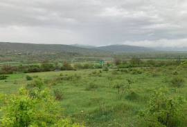 იყიდება მიწის ნაკვეთი, ოკამი