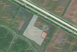 Land For Sale, Okami 