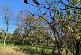 Продается Дом, 7 Kомнатная, Терджола, Godogani 