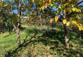 Продается Дом, 7 Kомнатная, Терджола, Godogani 